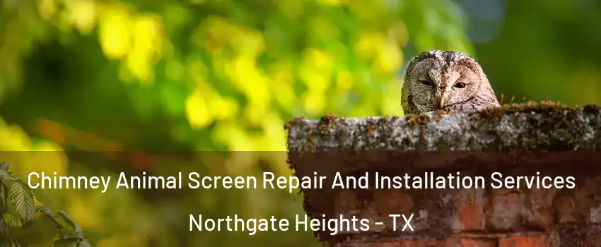 Chimney Animal Screen Repair And Installation Services Northgate Heights - TX