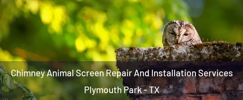 Chimney Animal Screen Repair And Installation Services Plymouth Park - TX