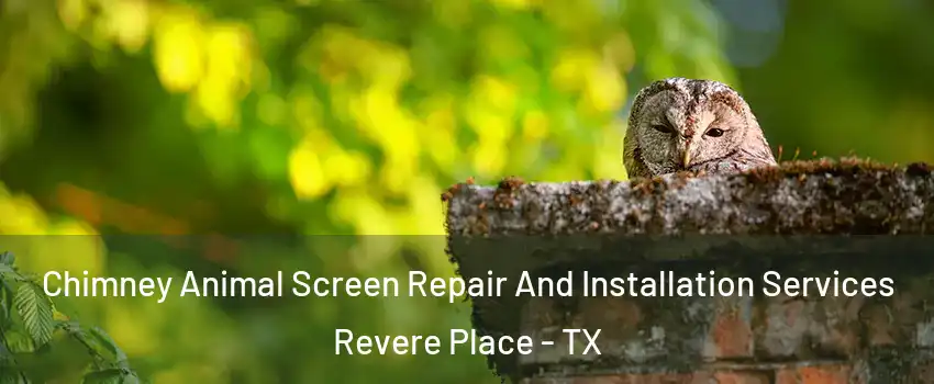 Chimney Animal Screen Repair And Installation Services Revere Place - TX