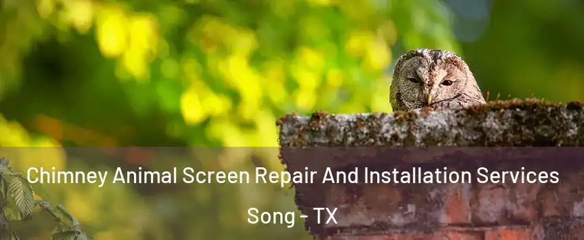 Chimney Animal Screen Repair And Installation Services Song - TX