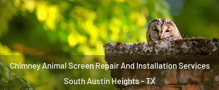 Chimney Animal Screen Repair And Installation Services South Austin Heights - TX