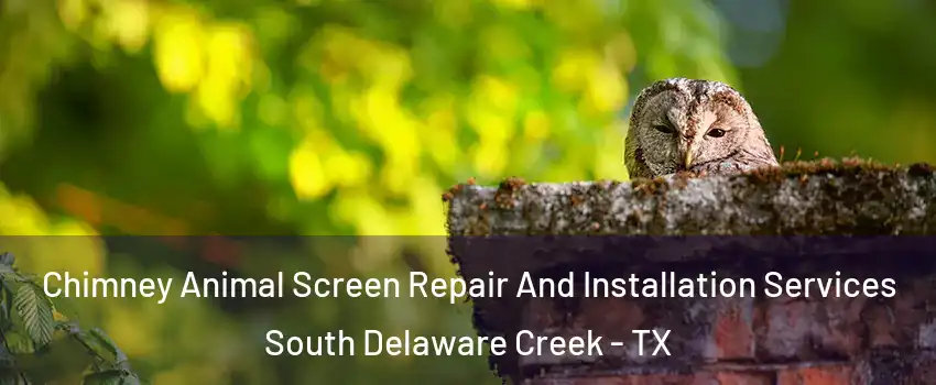 Chimney Animal Screen Repair And Installation Services South Delaware Creek - TX