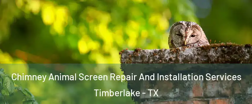 Chimney Animal Screen Repair And Installation Services Timberlake - TX