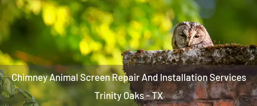 Chimney Animal Screen Repair And Installation Services Trinity Oaks - TX