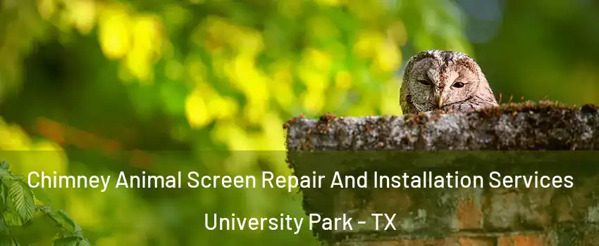 Chimney Animal Screen Repair And Installation Services University Park - TX