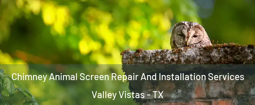 Chimney Animal Screen Repair And Installation Services Valley Vistas - TX
