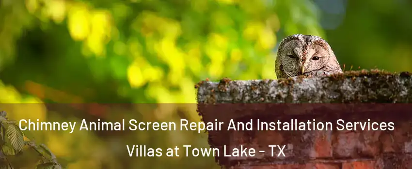 Chimney Animal Screen Repair And Installation Services Villas at Town Lake - TX
