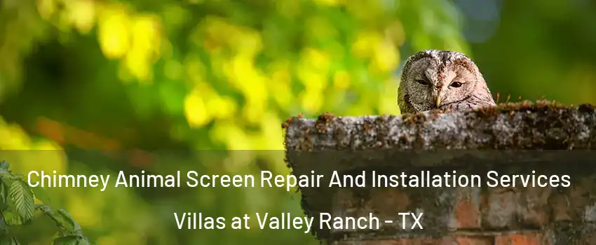 Chimney Animal Screen Repair And Installation Services Villas at Valley Ranch - TX
