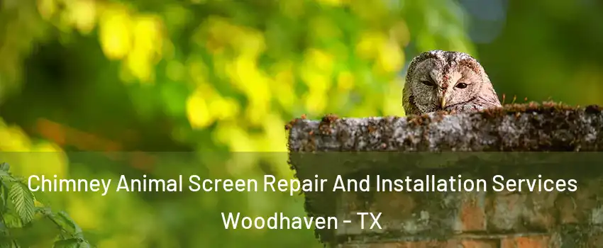 Chimney Animal Screen Repair And Installation Services Woodhaven - TX