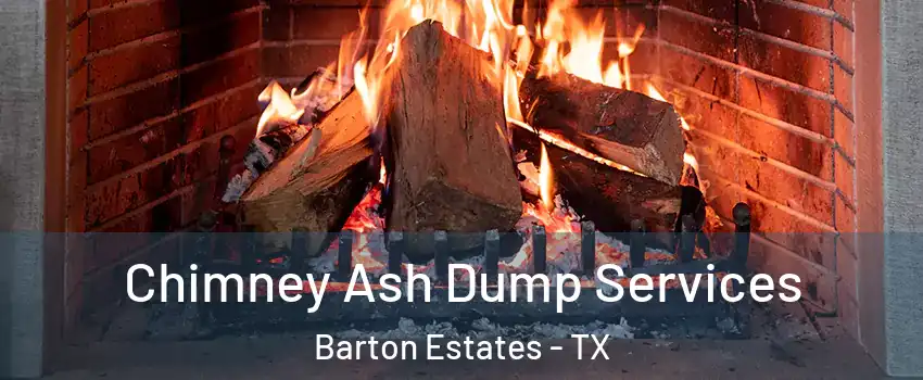 Chimney Ash Dump Services Barton Estates - TX