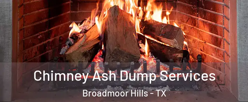 Chimney Ash Dump Services Broadmoor Hills - TX