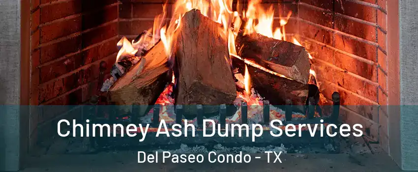 Chimney Ash Dump Services Del Paseo Condo - TX