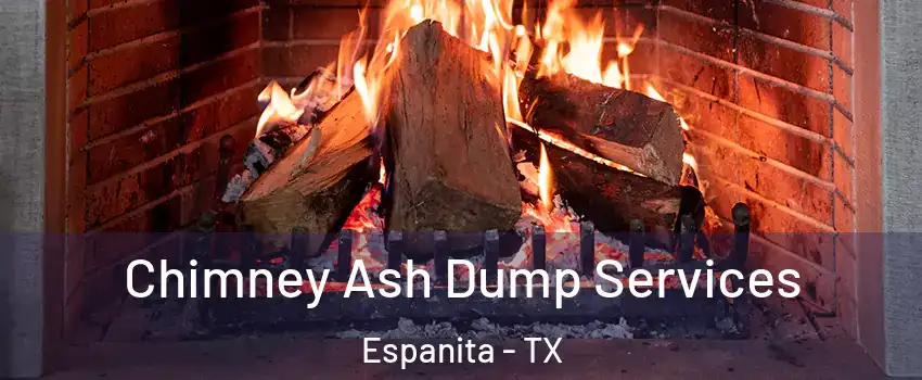 Chimney Ash Dump Services Espanita - TX