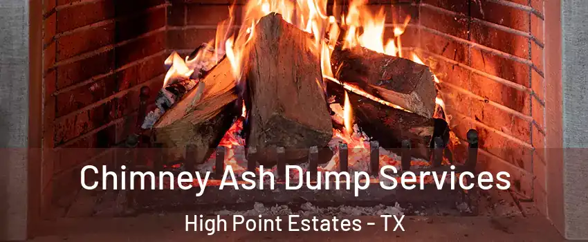 Chimney Ash Dump Services High Point Estates - TX