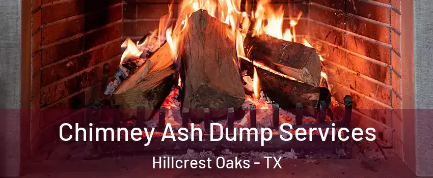 Chimney Ash Dump Services Hillcrest Oaks - TX