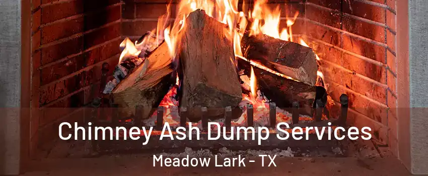 Chimney Ash Dump Services Meadow Lark - TX
