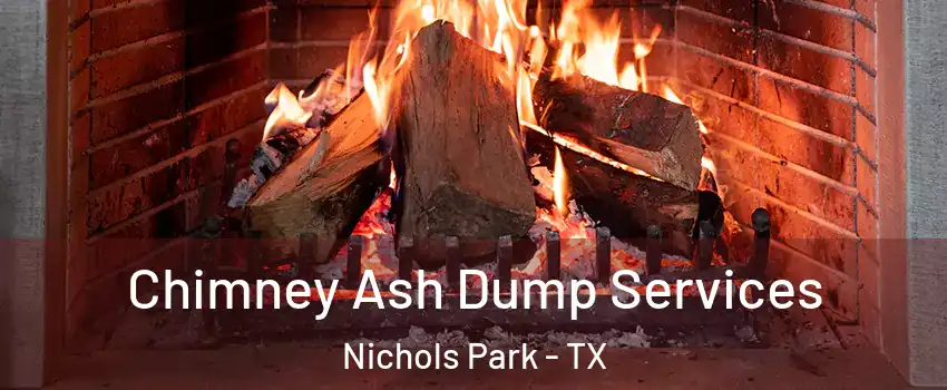 Chimney Ash Dump Services Nichols Park - TX