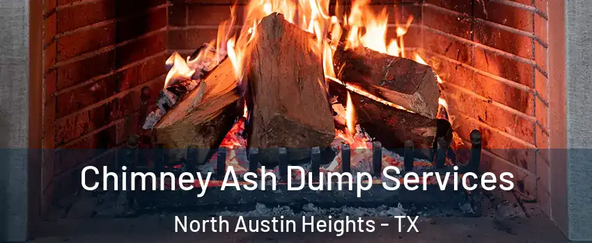 Chimney Ash Dump Services North Austin Heights - TX