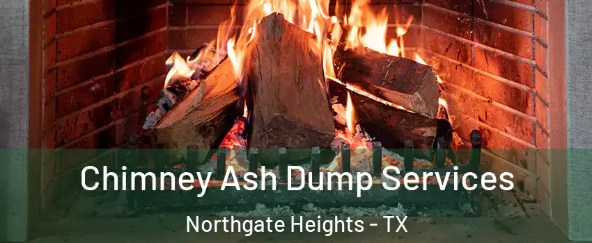 Chimney Ash Dump Services Northgate Heights - TX