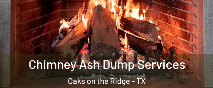 Chimney Ash Dump Services Oaks on the Ridge - TX