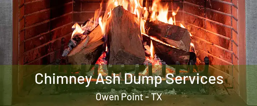 Chimney Ash Dump Services Owen Point - TX