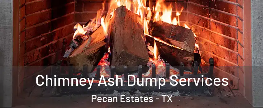 Chimney Ash Dump Services Pecan Estates - TX