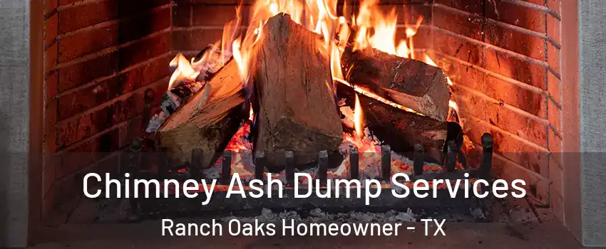 Chimney Ash Dump Services Ranch Oaks Homeowner - TX