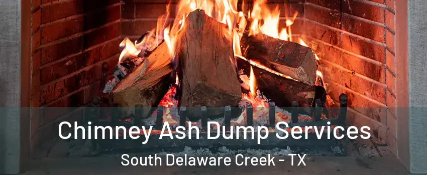 Chimney Ash Dump Services South Delaware Creek - TX