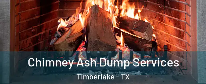 Chimney Ash Dump Services Timberlake - TX