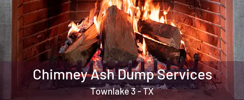 Chimney Ash Dump Services Townlake 3 - TX