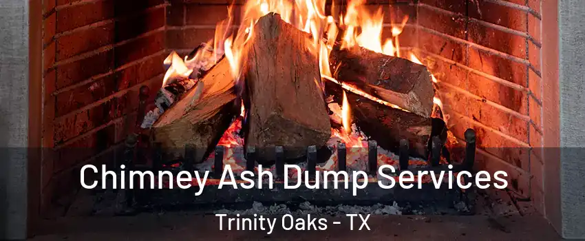 Chimney Ash Dump Services Trinity Oaks - TX