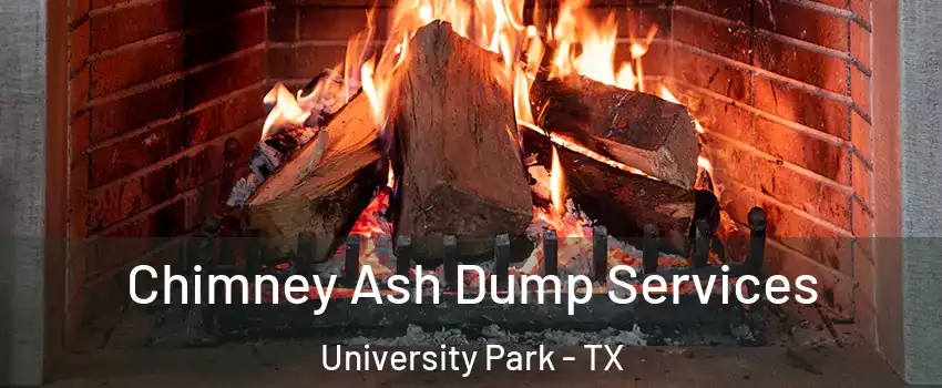 Chimney Ash Dump Services University Park - TX