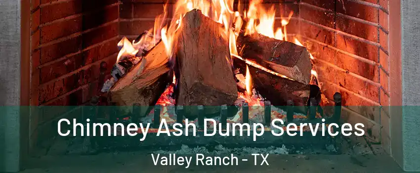 Chimney Ash Dump Services Valley Ranch - TX