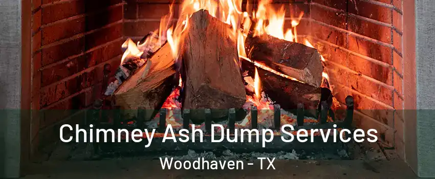 Chimney Ash Dump Services Woodhaven - TX