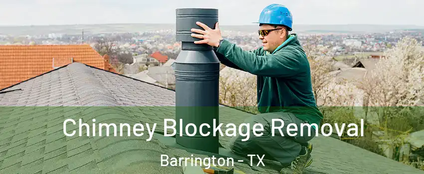 Chimney Blockage Removal Barrington - TX