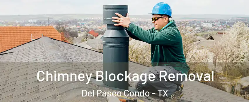 Chimney Blockage Removal Del Paseo Condo - TX