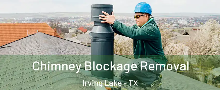 Chimney Blockage Removal Irving Lake - TX