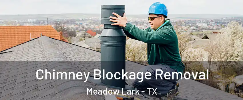 Chimney Blockage Removal Meadow Lark - TX