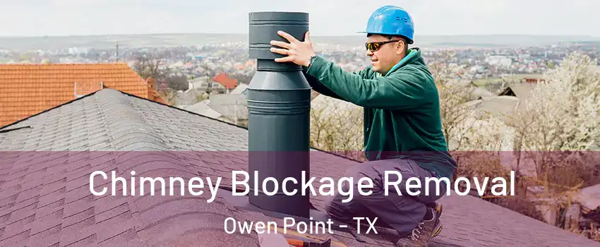 Chimney Blockage Removal Owen Point - TX