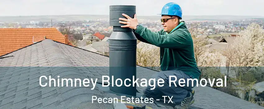Chimney Blockage Removal Pecan Estates - TX