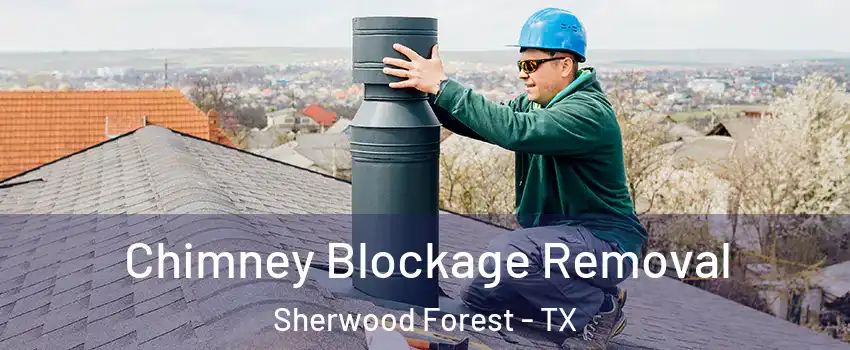 Chimney Blockage Removal Sherwood Forest - TX