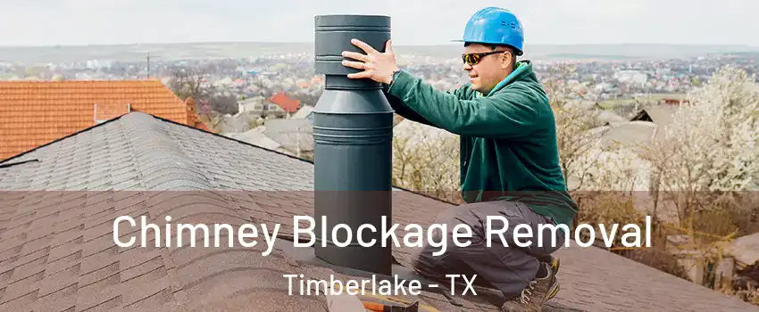 Chimney Blockage Removal Timberlake - TX