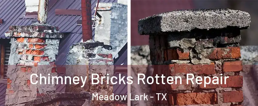 Chimney Bricks Rotten Repair Meadow Lark - TX