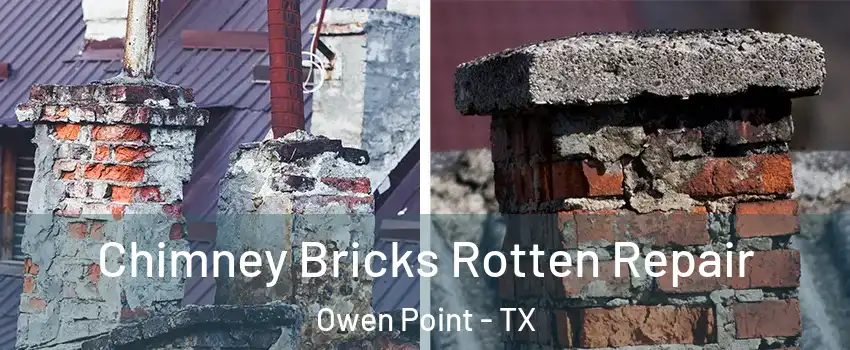 Chimney Bricks Rotten Repair Owen Point - TX