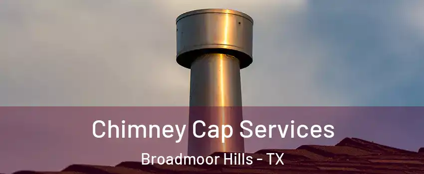 Chimney Cap Services Broadmoor Hills - TX