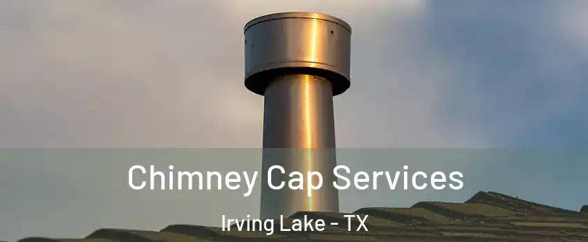 Chimney Cap Services Irving Lake - TX