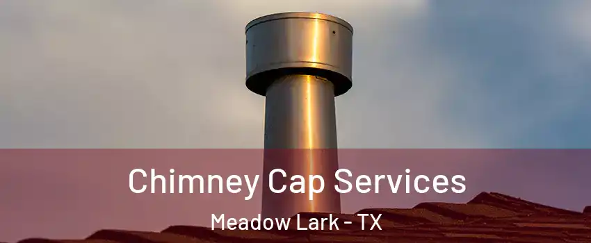 Chimney Cap Services Meadow Lark - TX