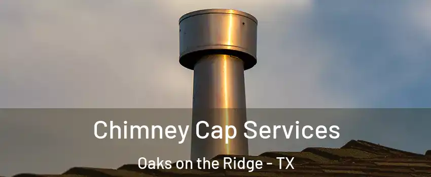 Chimney Cap Services Oaks on the Ridge - TX