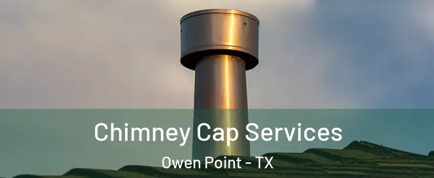 Chimney Cap Services Owen Point - TX