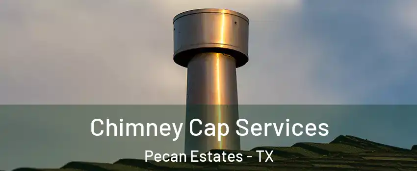 Chimney Cap Services Pecan Estates - TX